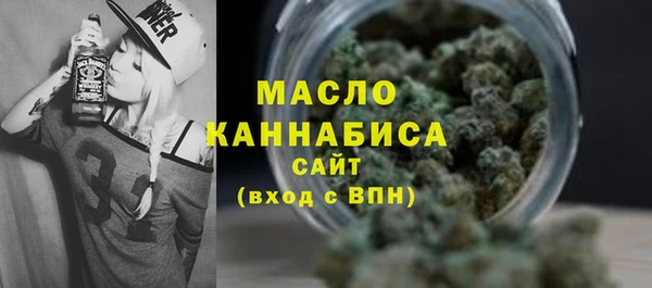 гидра Осинники