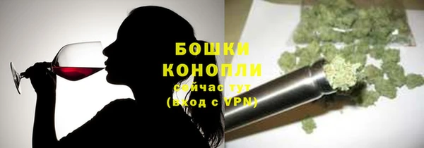 МДПВ Няндома